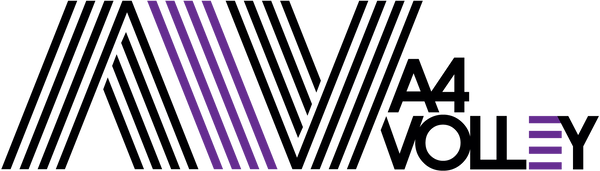 A4 VOLLEY STORE logo